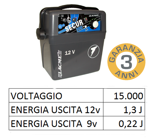 elettrificatore 12 volt