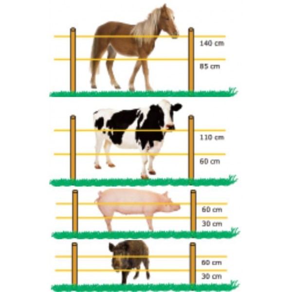 Filo Elettrico Per Animali.Fili E Altezza Filo
